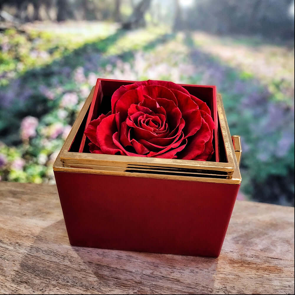 To My Mommy - Love Knot with Rotating Rose Gift Box - SL34561U Jewelry ShineOn Fulfillment White Gold Finish Standard Box