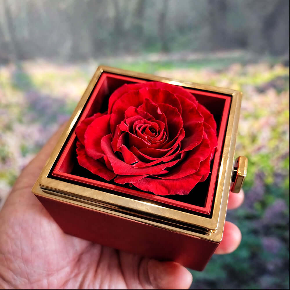 To My Mom - From Daughter - Best Mother - Beautiful Gift Set - SS430v3 Jewelry ShineOn Fulfillment