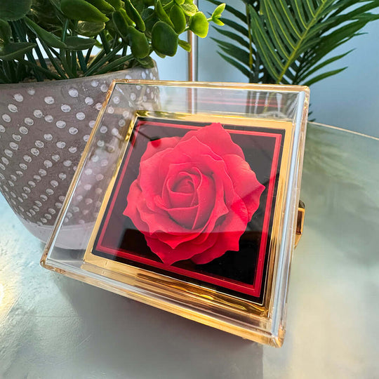 To My Gorgeous Wife - Beautiful Gift Set - Rotating Rose Gift Box -SSW276 Jewelry ShineOn Fulfillment