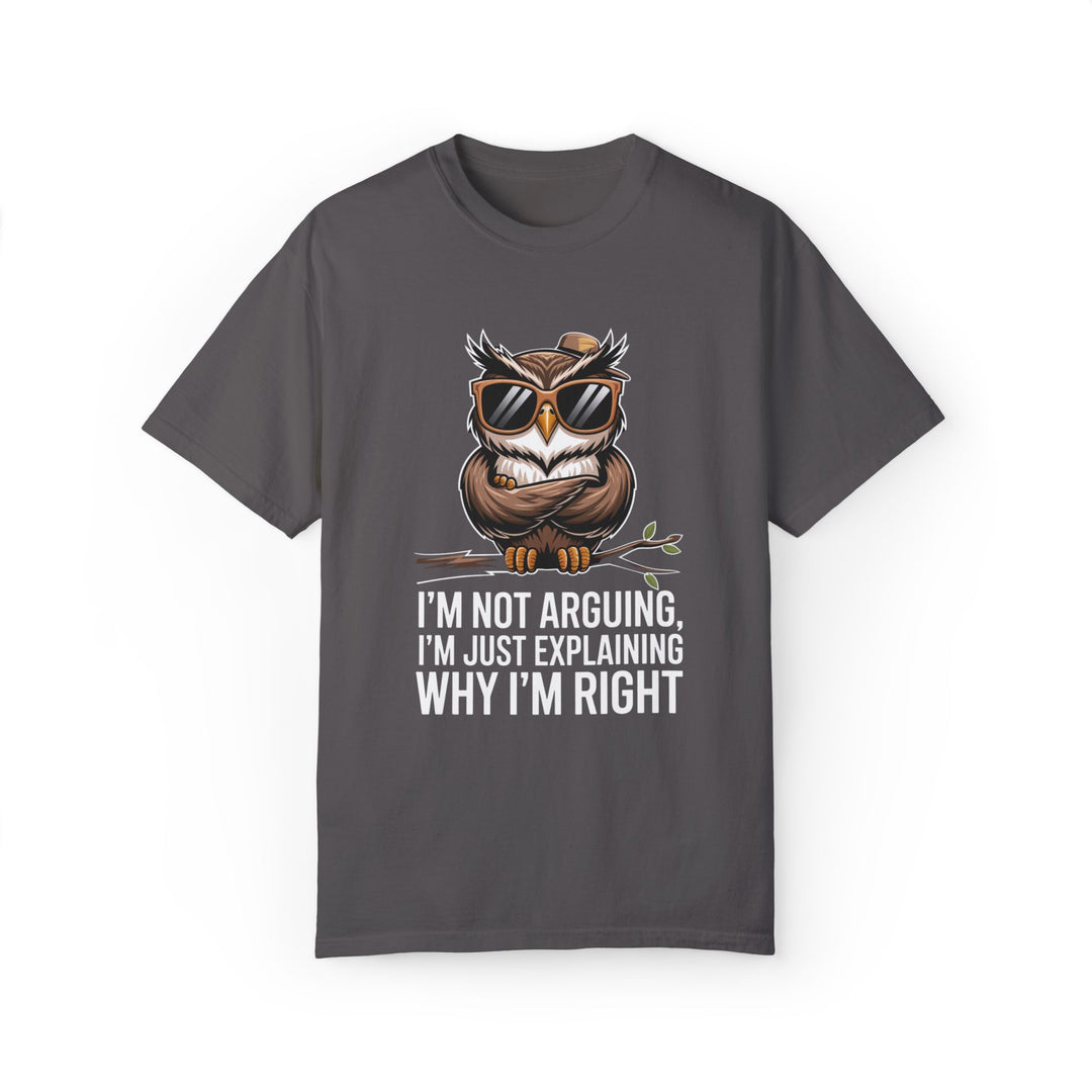 Owl T-Shirt - I'm not arguing, I'm just explaining why I'm right T-Shirt Printify Graphite S