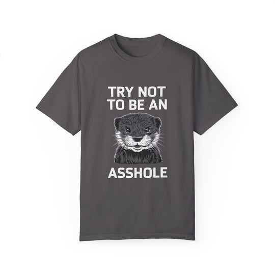 Otter Graphic T-shirt - Try Not To Be An Asshole T-Shirt Printify Graphite S