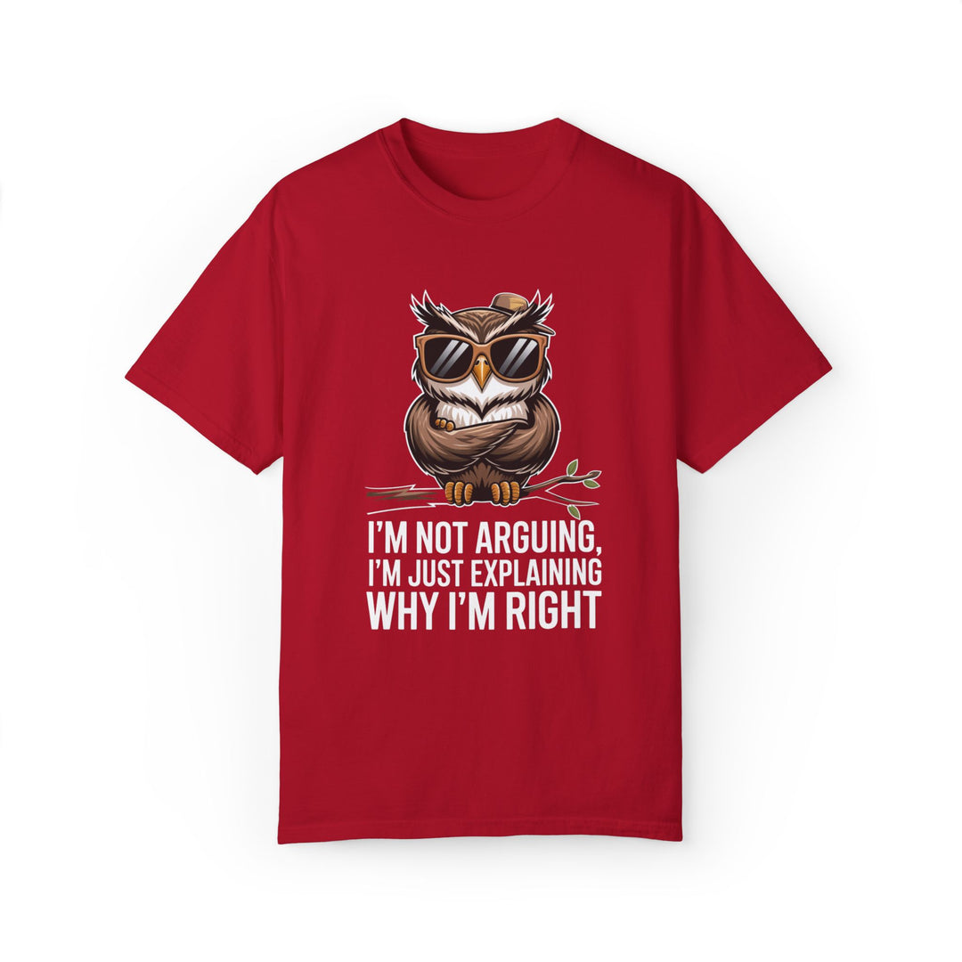 Owl T-Shirt - I'm not arguing, I'm just explaining why I'm right T-Shirt Printify Red S