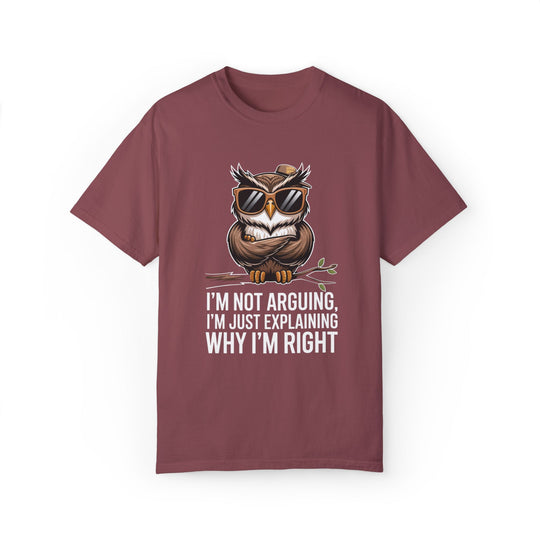 Owl T-Shirt - I'm not arguing, I'm just explaining why I'm right T-Shirt Printify Vineyard S