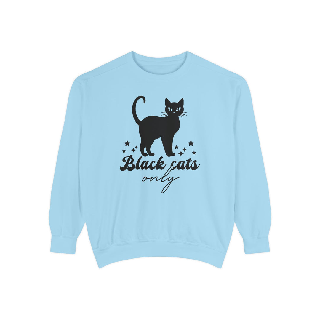 Black Cat Halloween Sweatshirt - 'Black Cats Only' Sweatshirt Printify Chambray S