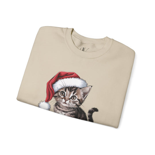 Cat Lover Sweatshirt - Santa Paws