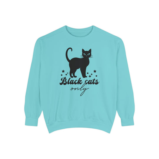 Black Cat Halloween Sweatshirt - 'Black Cats Only' Sweatshirt Printify Chalky Mint S