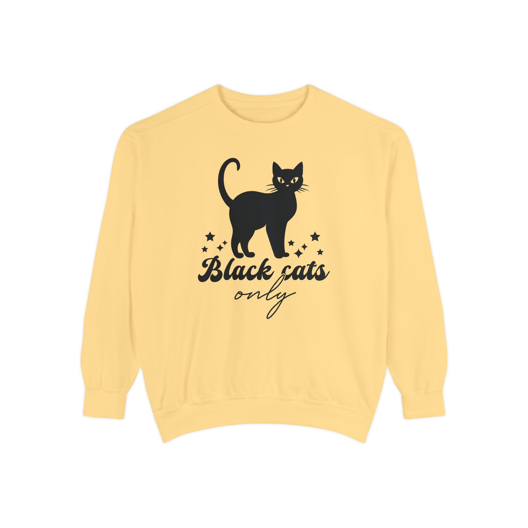 Black Cat Halloween Sweatshirt - 'Black Cats Only' Sweatshirt Printify Butter S