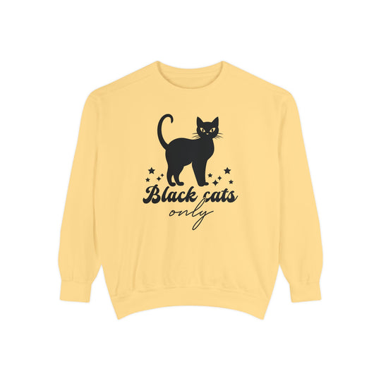 Black Cat Halloween Sweatshirt - 'Black Cats Only' Sweatshirt Printify Butter S