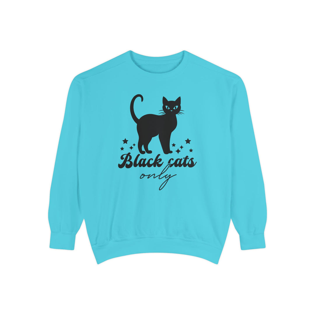 Black Cat Halloween Sweatshirt - 'Black Cats Only' Sweatshirt Printify Lagoon Blue S