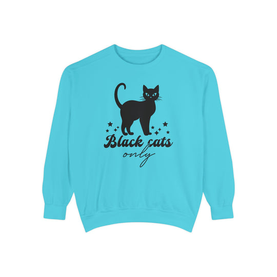 Black Cat Halloween Sweatshirt - 'Black Cats Only' Sweatshirt Printify Lagoon Blue S