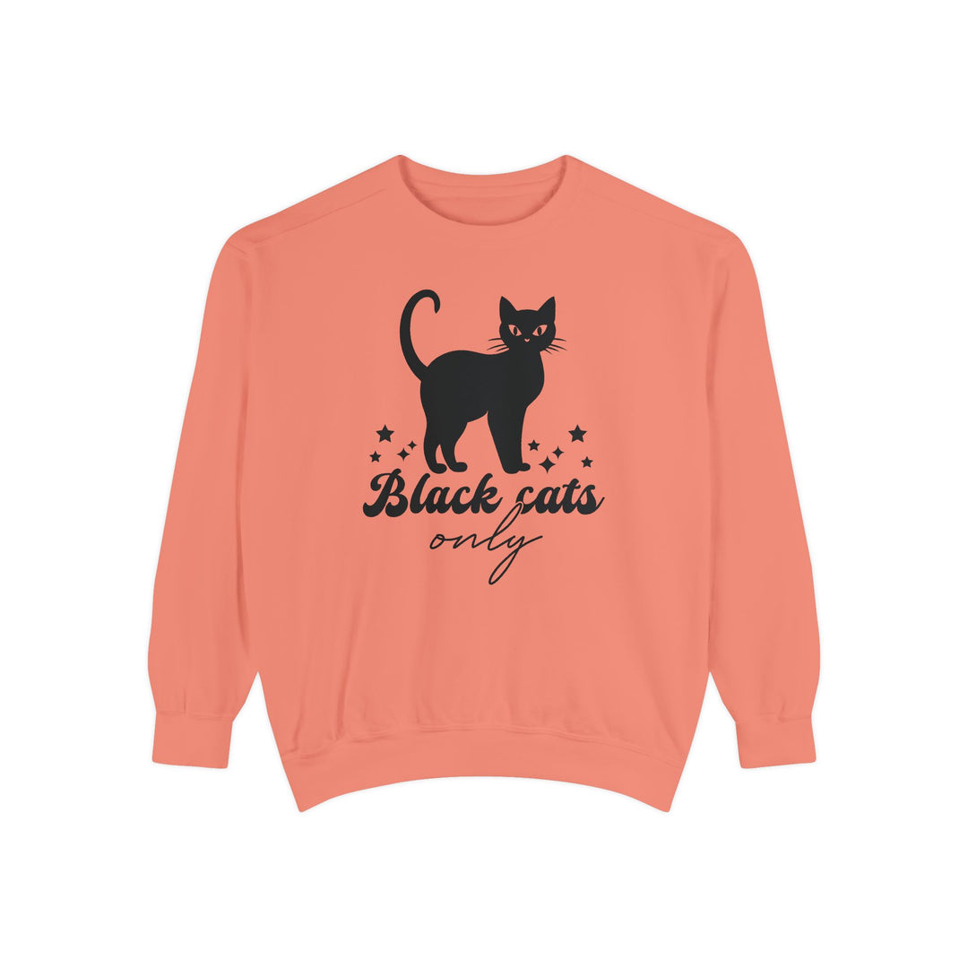 Black Cat Halloween Sweatshirt - 'Black Cats Only' Sweatshirt Printify Terracotta S