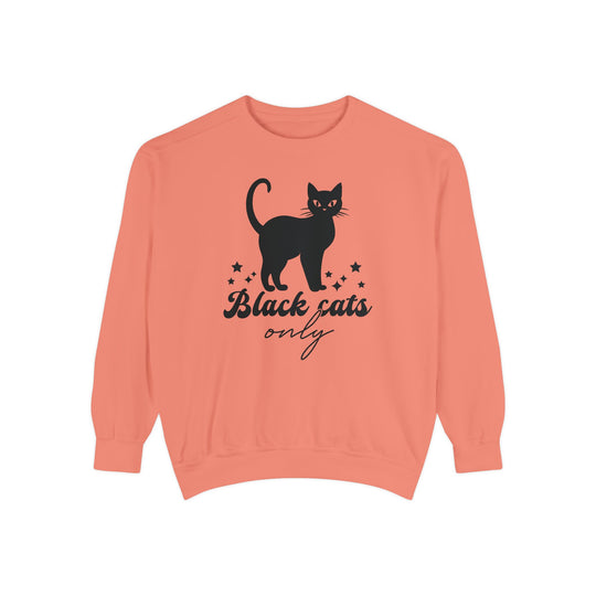 Black Cat Halloween Sweatshirt - 'Black Cats Only' Sweatshirt Printify Terracotta S