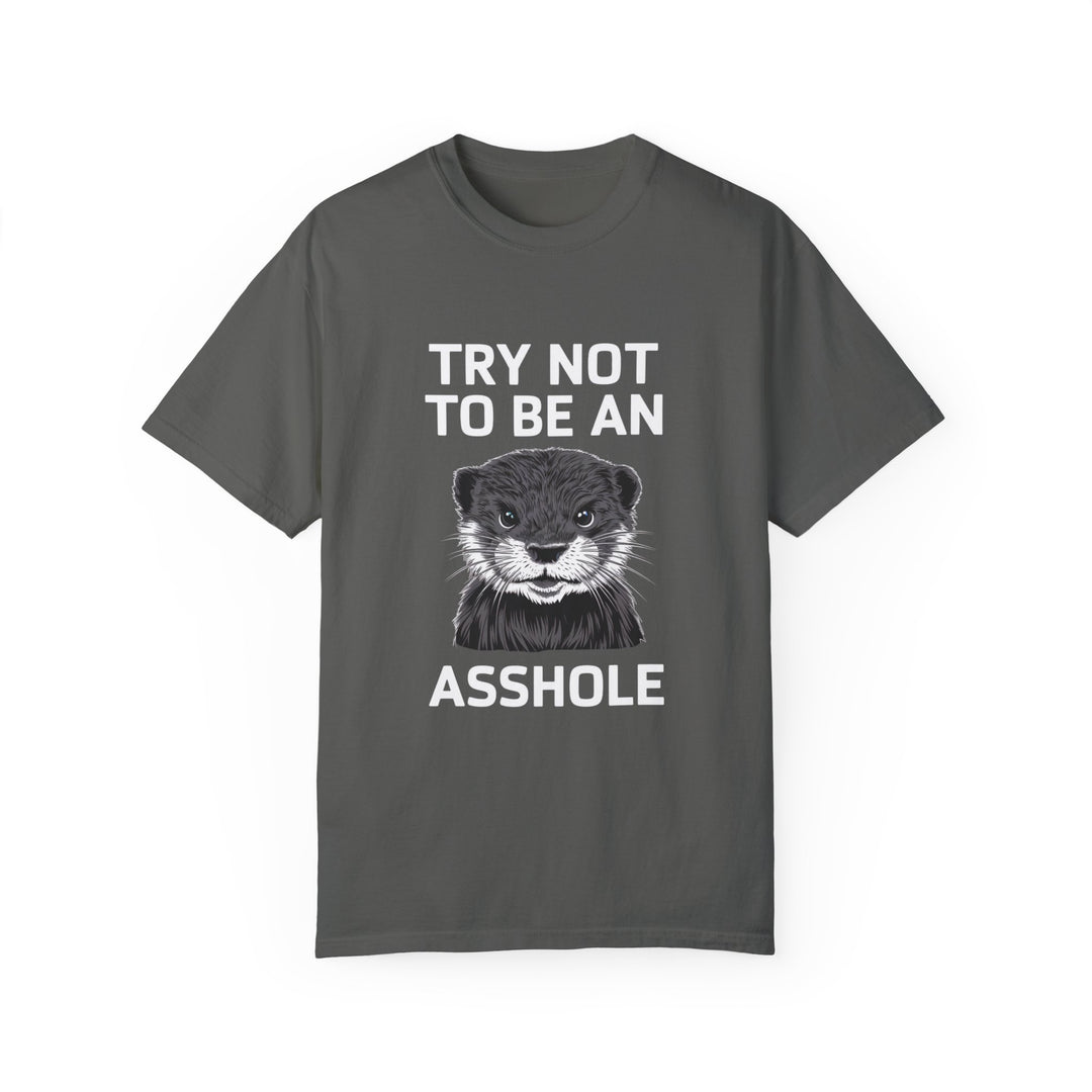 Otter Graphic T-shirt - Try Not To Be An Asshole T-Shirt Printify Pepper S