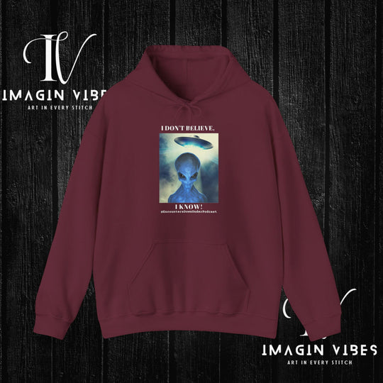 Encounters Down Under Podcast Double Side Print Hoodie, I Dont Believe, I Know Allien Podcast Hoodie Hoodie Printify Maroon S