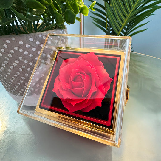 To My Gorgeous Wife - Beautiful Gift Set - Rotating Rose Gift Box -SSW276